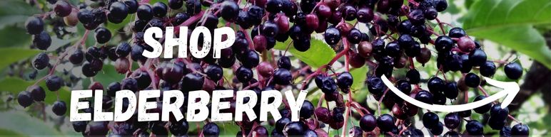 Shop Elderberries