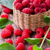 Rasberries in a basket