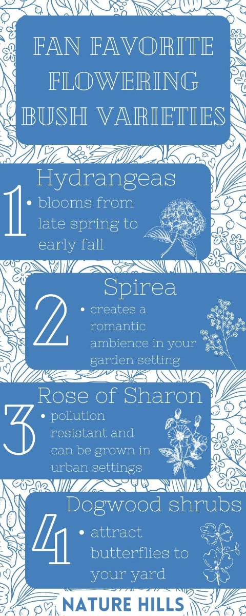 Fan Favorite Flowering Bush Varieties